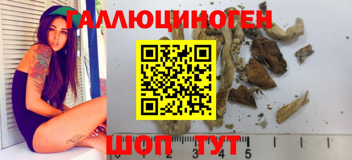 Камень-на-Оби  Галлюциногенные грибы ЛСД  Вход с VPN 